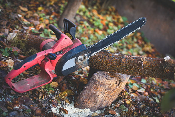 Best Tree Trimming and Pruning  in Sutton Alpine, AK